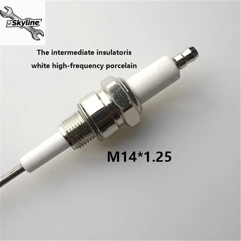 Gas Industrial Furnace/Lgnition Needle/Spark Plug Aluminum Liquid/Liquid Level Probe/Kiln Exploration