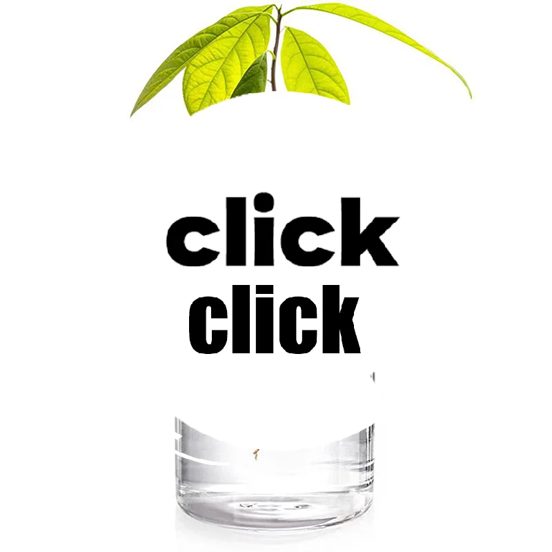 

Avocado Seed Starter Vase Transparent Glass Vase Vase For Growing Plant Glass Seed Growing Kit For Gardening Lovers