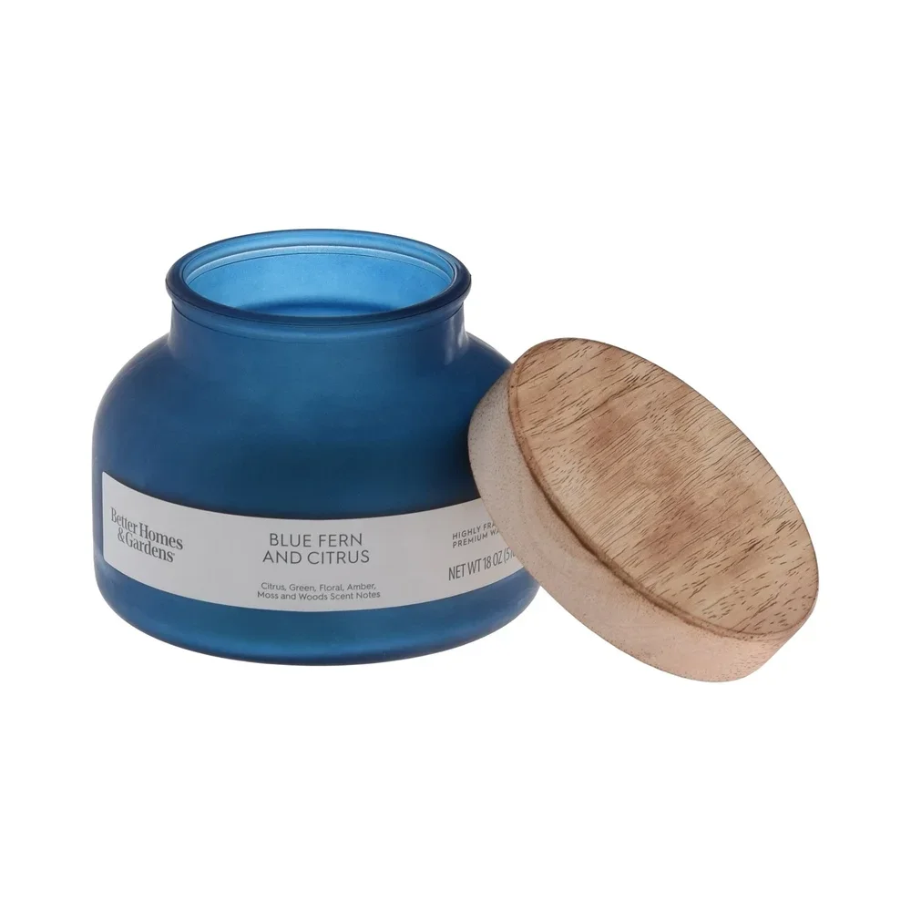 شمعة معطرة بالحمضيات السرخس الزرقاء 2 شمعة جرة الفتيل 18 أونصة عطر عطري لديكور المنزل شمع البارافين وقت حرق طويل 52 ساعة