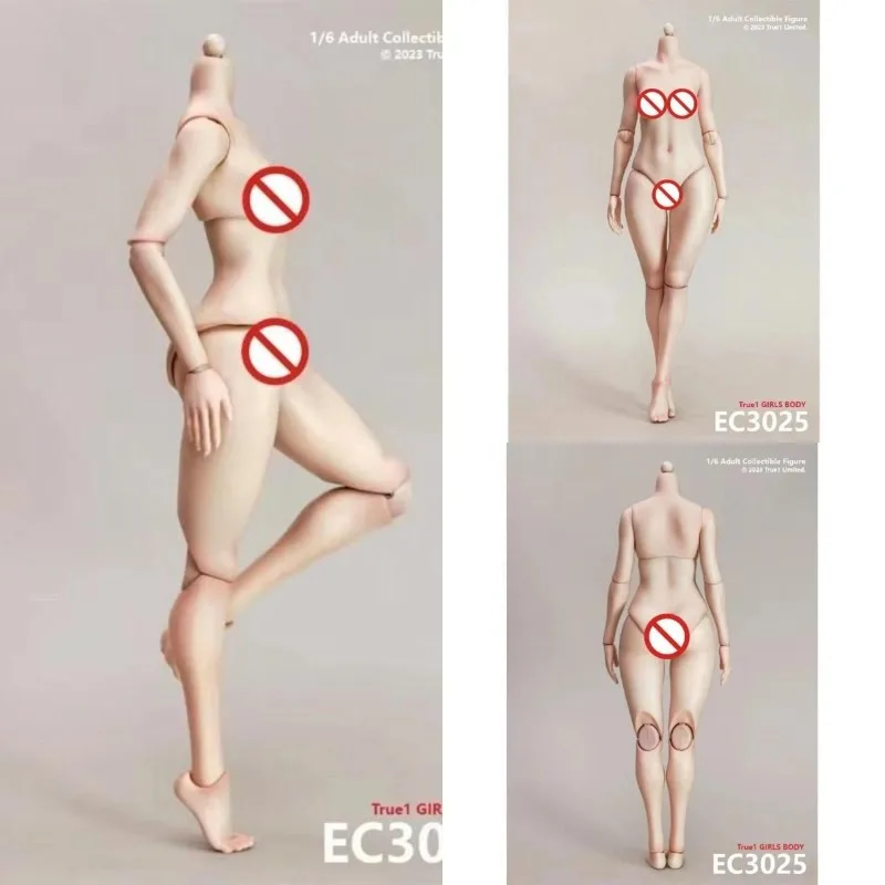 EC3025 EC3026 1/6 Scale Female Soldier Peach Buttock Joint Body for 12''Action Figure White Light Wheat Middle Large Bust Model