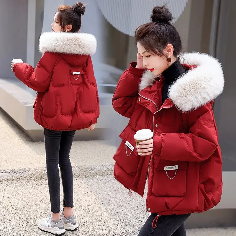 

Ladies Short Thickening Down Cotton Outwear Autumn Winter Female Hooded Cotton Padded Coat 2024 Women Zipper Loose Parka Jacket