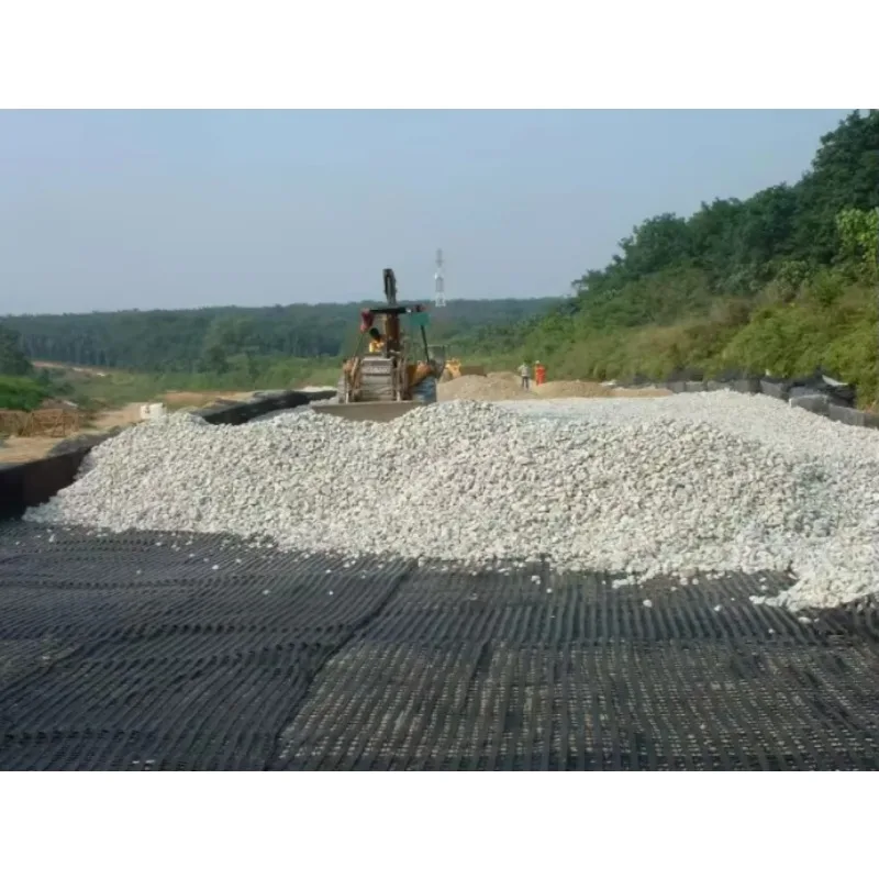 Price of small samples --Polyester Geomalla Pet Geogrid Used in Slope Soil Reinforcement Road Highway Airport Subway