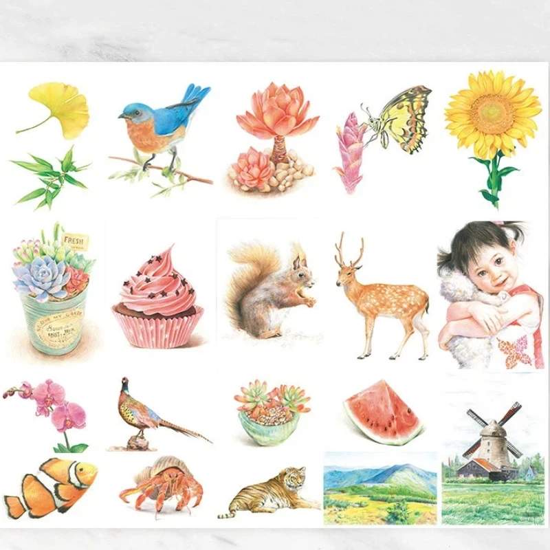 Colored Pencil Copy Cards Zero Basic Self-study Flowers Animals Scenery Hand-painted Drawing Practice Art Cards for beginners