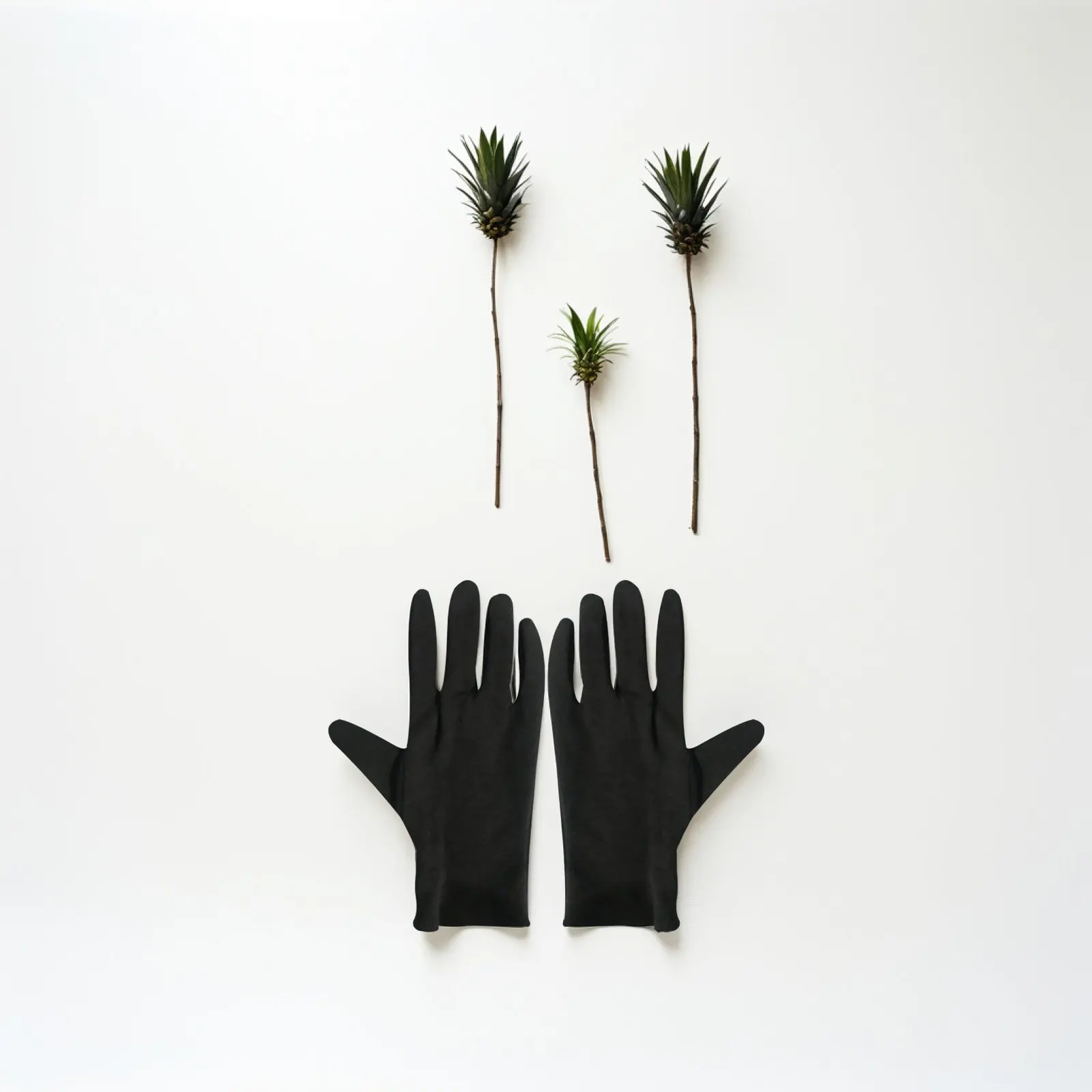 

12Pairs Comfortable Cotton Work Gloves Anti-Slip Lightweight for Household Gardening Jewelry Handling Color Slides Coin