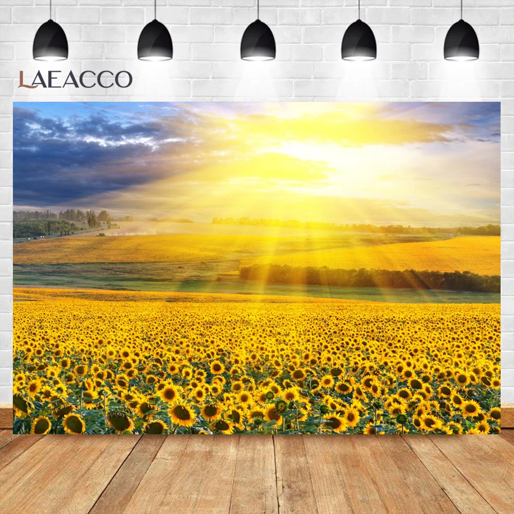 Laeacco Sunset Sunflower Backdrops for Photographers Natual Landscape Scenery Newborn Portrait Photo Photography Background