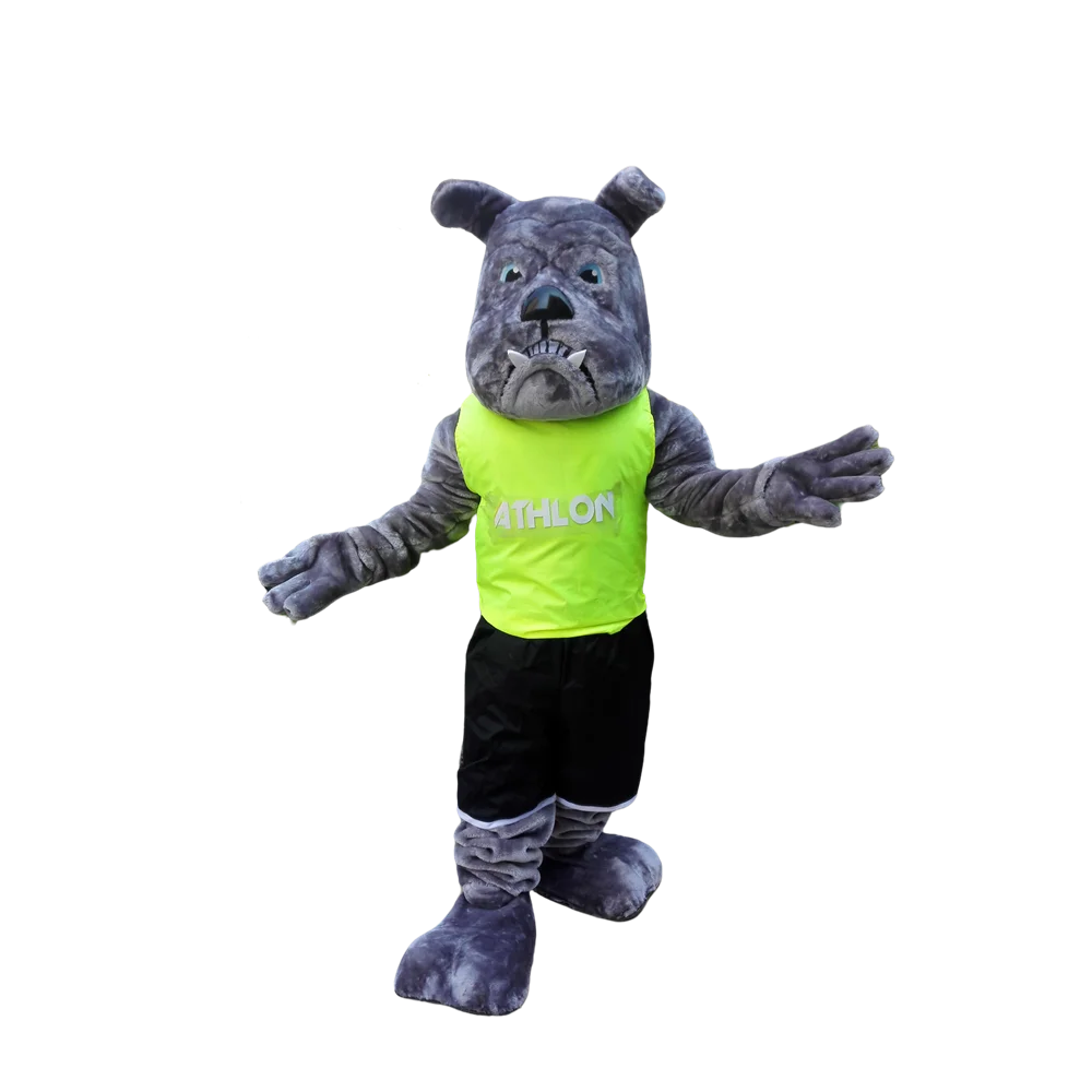 Costume de mascotte de bouledogue gris, personnage de dessin animé personnalisé, déguisement de cosplay, thème de mascotte, costume de carnaval, kits d'anime 1333