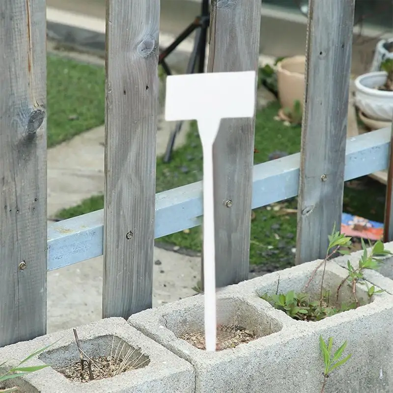 

Plant Labels For Seedlings Plant Stake Labels Set Of 10 Waterproof Vegetable Gardening Markers Houseplant Stake Signs For
