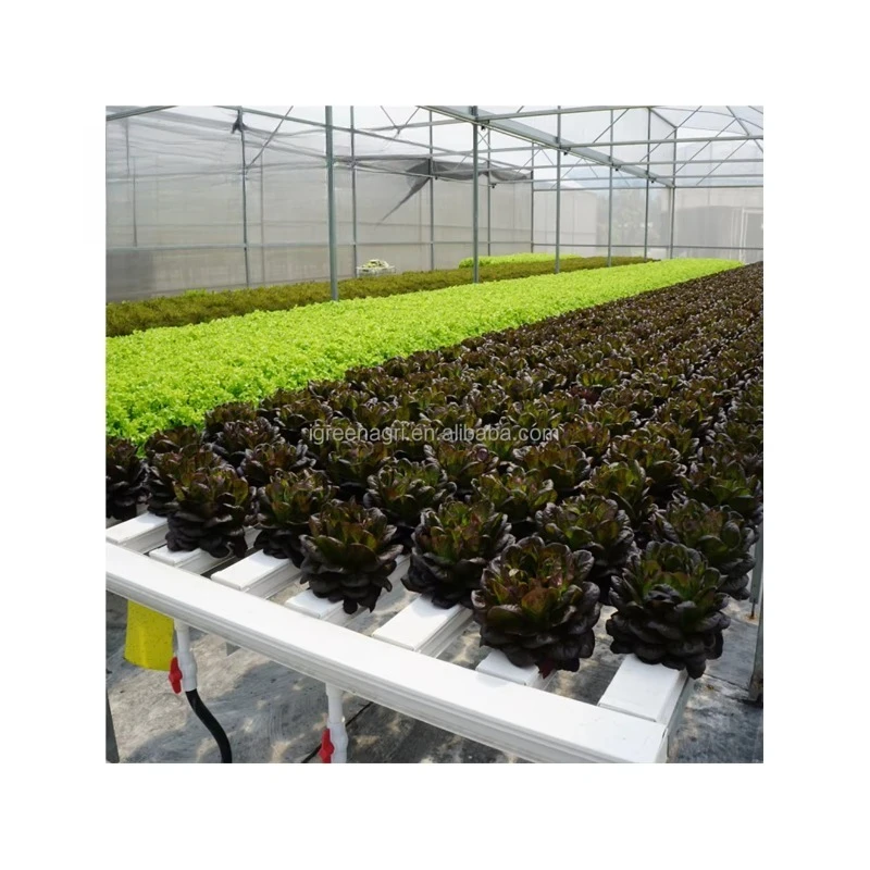 Sistema hidropónico NFT comercial