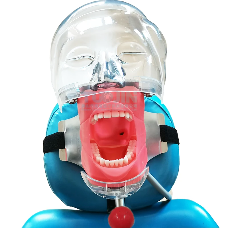 Dental Simulator Phantom Head Replace Teeth Model Can Installed On The Pillow Of The Dental Chair For Dentist Teaching Practice
