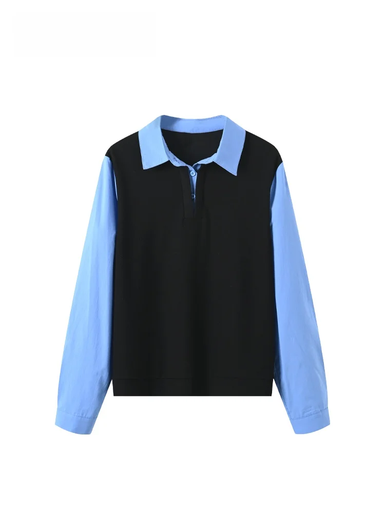 

CaraCLUB: Новая женская блузка больших размеров с длинным рукавом для ранней весны, имитация двухслойности, для полных женщин, омолаживающий эффект, стройнящая модель.