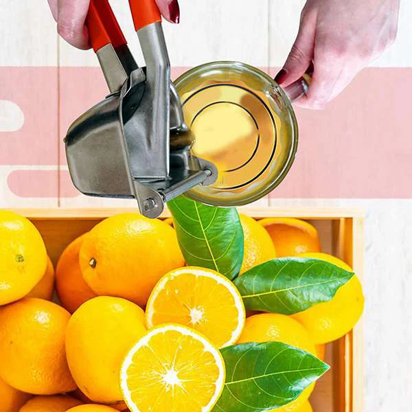 Stainless Steel Multifunction Citrus Fruits Lemon Squeezer Orange Hand Manual Juicer Pomegrana