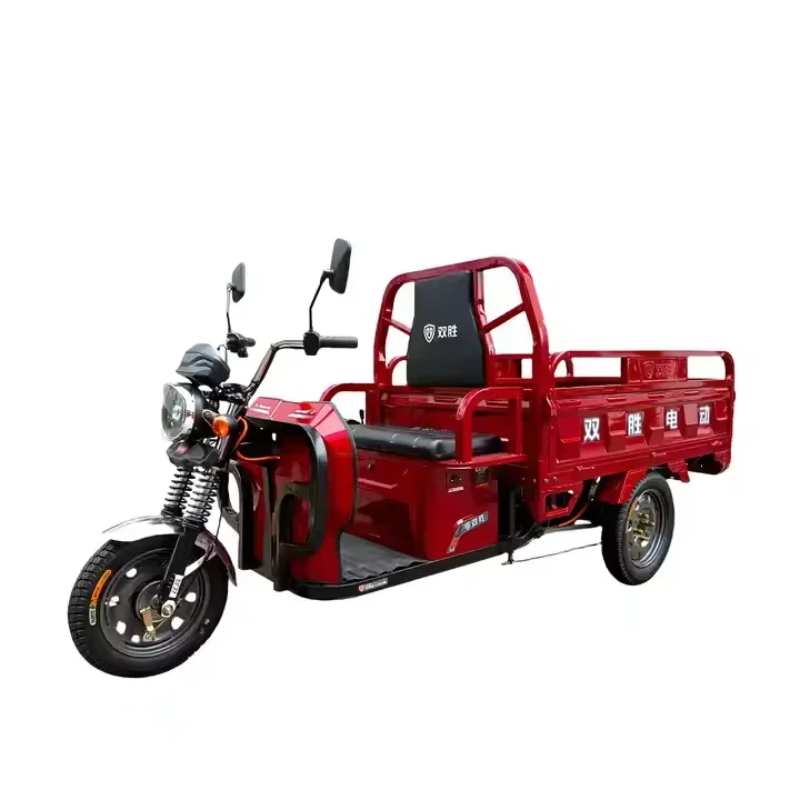 Made in China high quality tricycle electric bike open body household electric tricycles cargo 60V