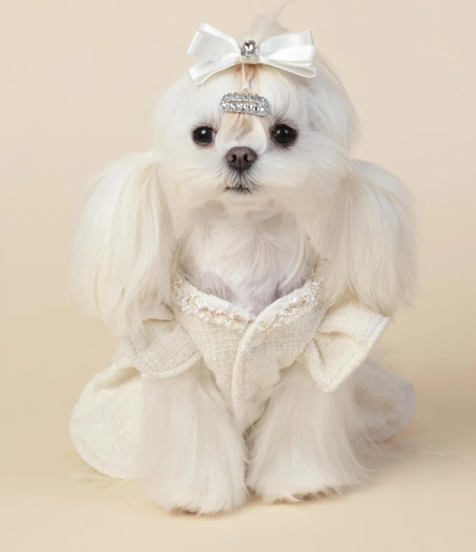 

Classic Style White Woolen Skirt Cherry Blossom Decoration Pet Clothing Brand Dog Dress