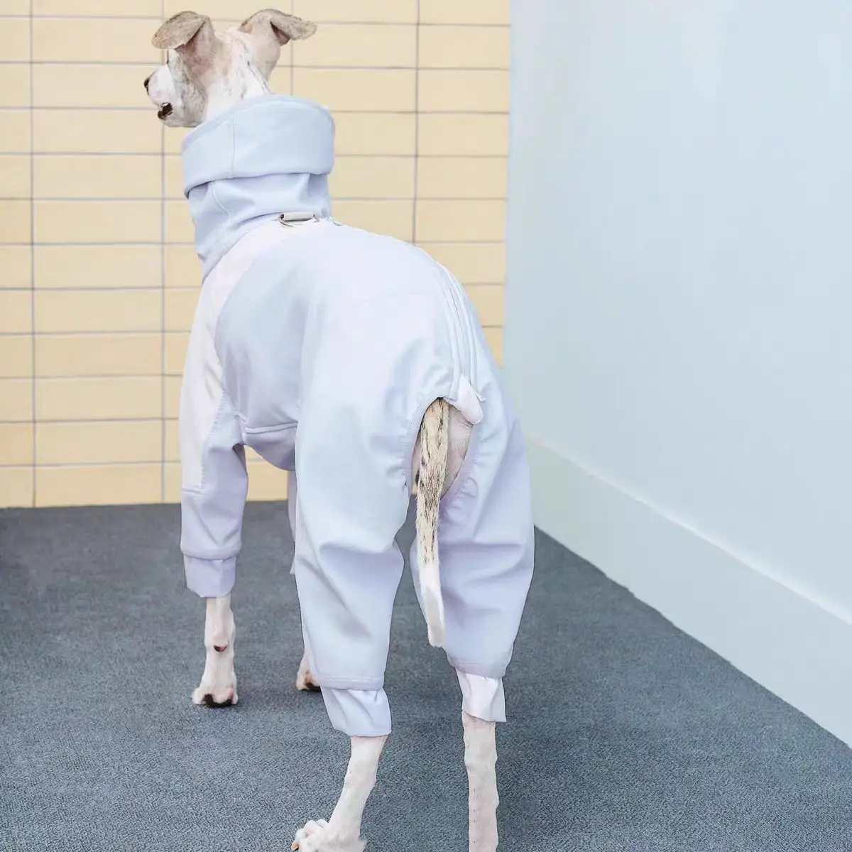 Thumbnail 3 - #38 Budget Puppy Coats for Smart Shoppers