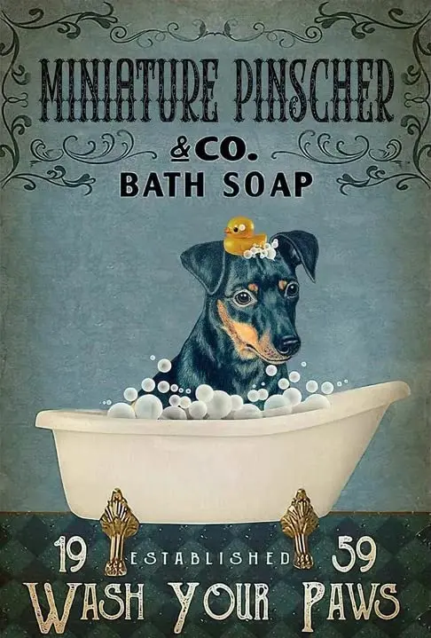 Krouterebs Miniature Pinscher Bath Soaps Wash Your Paws Dog Antique Metal Tin Sign Bar Home Bathroom Pool Outdoor Plaque Wa sign