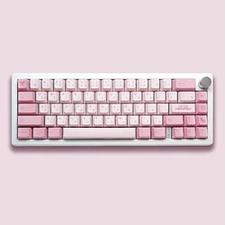 Ania Theme PBT Dye Sub Small Full Set Mechanical Keyboard DIY Keycaps Cherry Profile Pink Key Caps