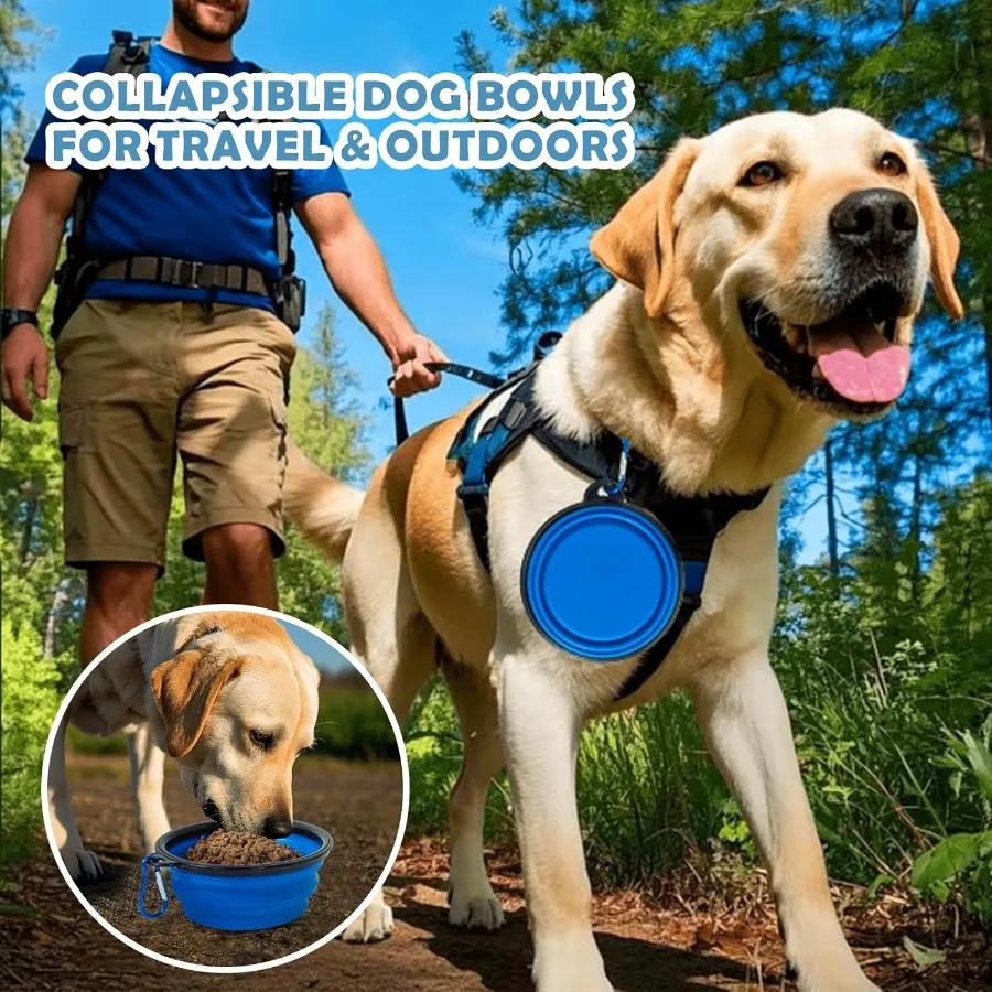 36 Inch Collapsible Dog Crate for Large Dogs with 3Door Design Foldable Soft Kennel Featuring Breathable Mesh Windows Soft Plus