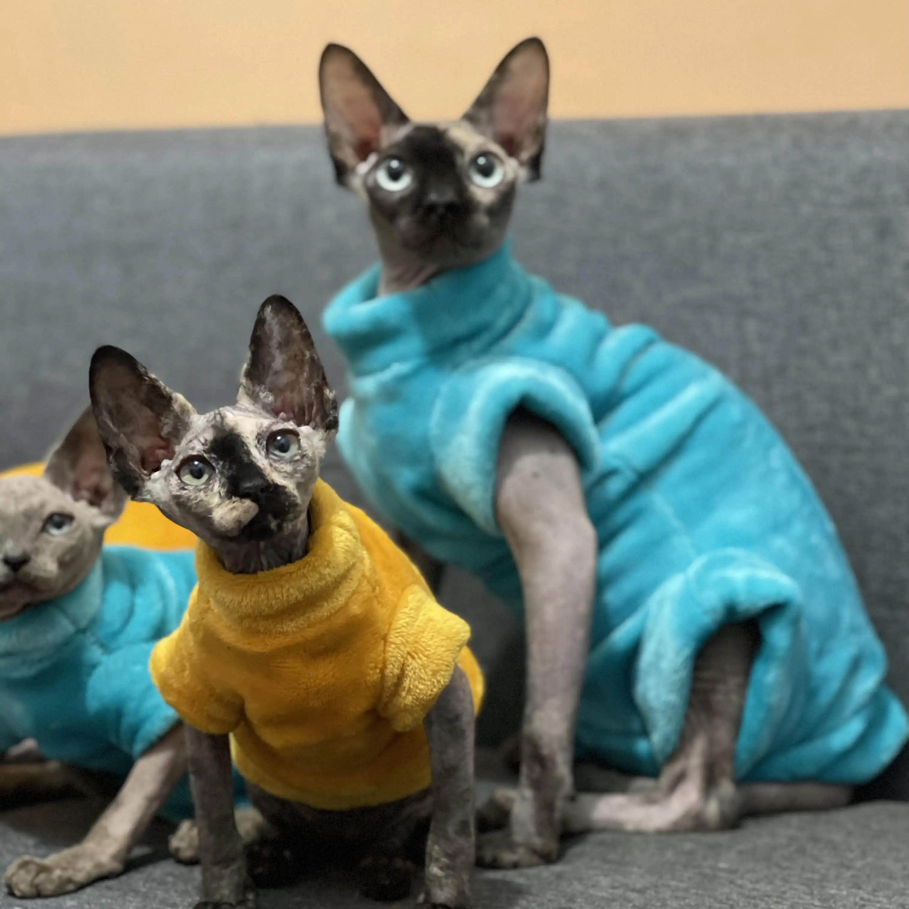 Fashion Charming Blue Warm Sphynx Cat Sweater Hairless Cat Clothes Thickening Soft Lamb Wool Fiber Coat for Devon Winter Outwear