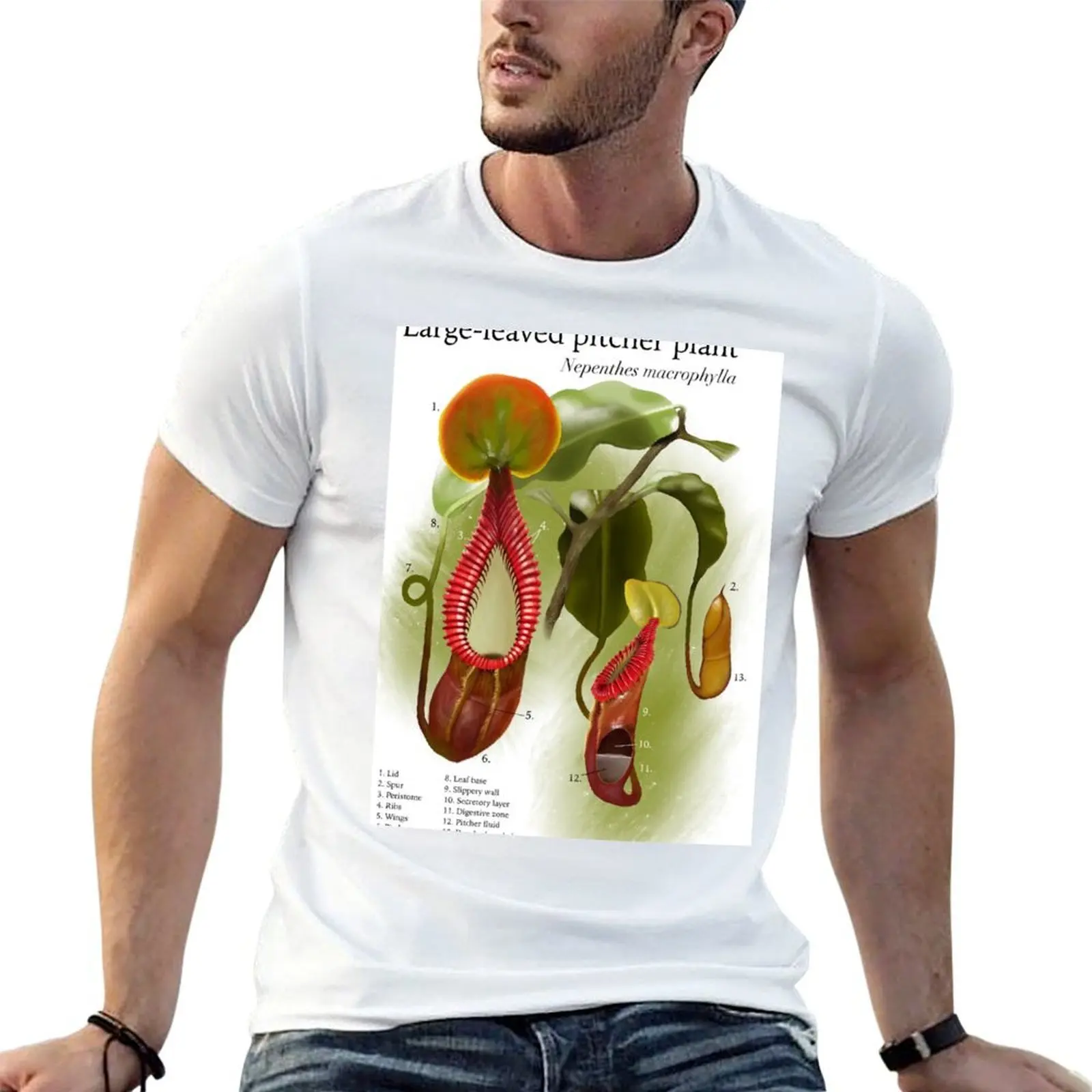 

Nepenthes macrophylla T-Shirt g man t shirts for men man t shirt heavy cotton T-Shirt