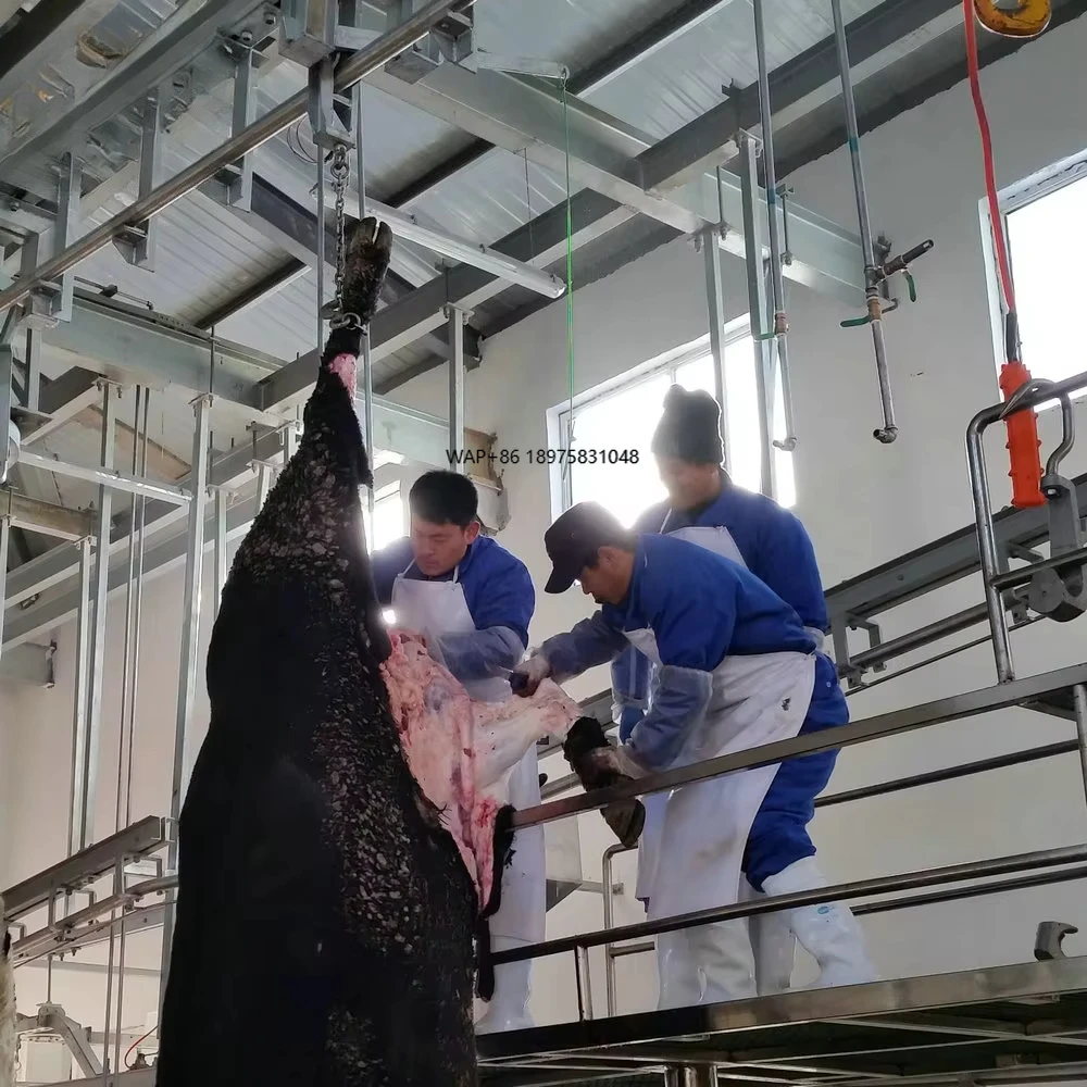 Halal Cattle Slaughter House Equipment for Modern Abattoir