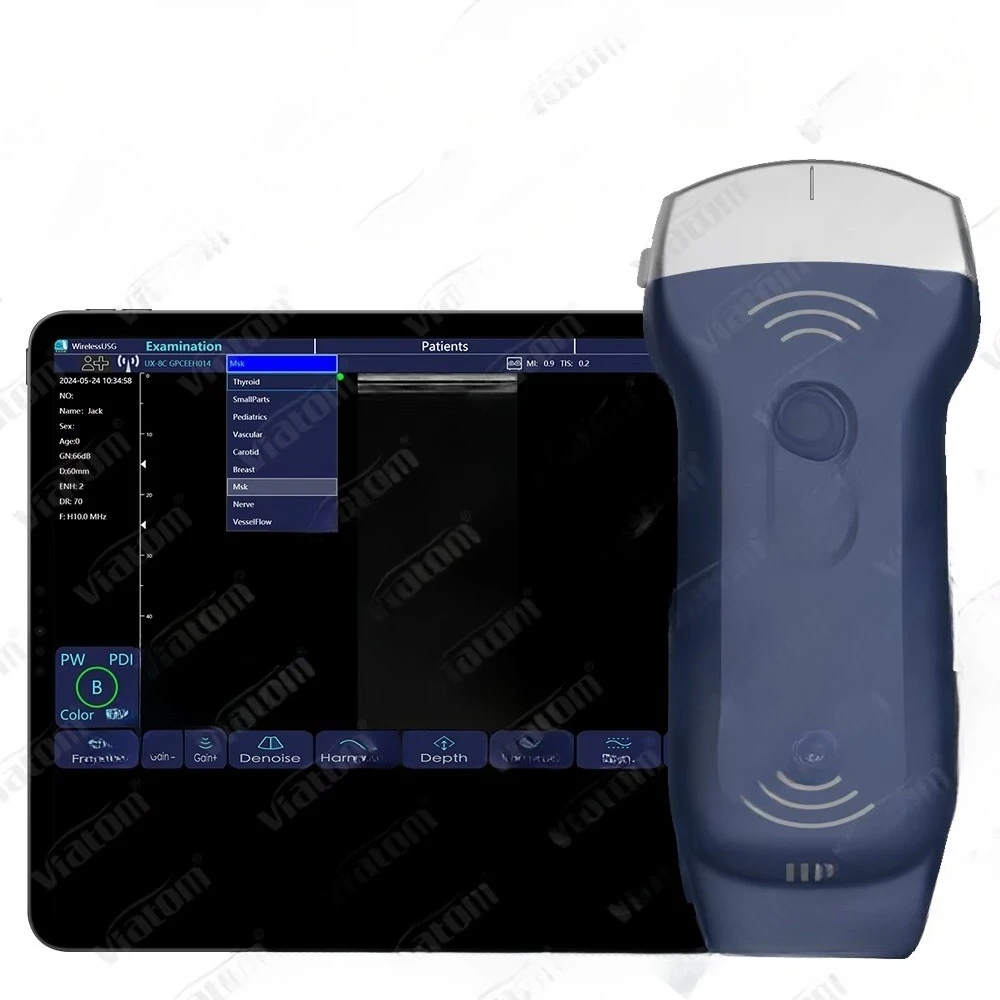 Msk Is An Integral … - image