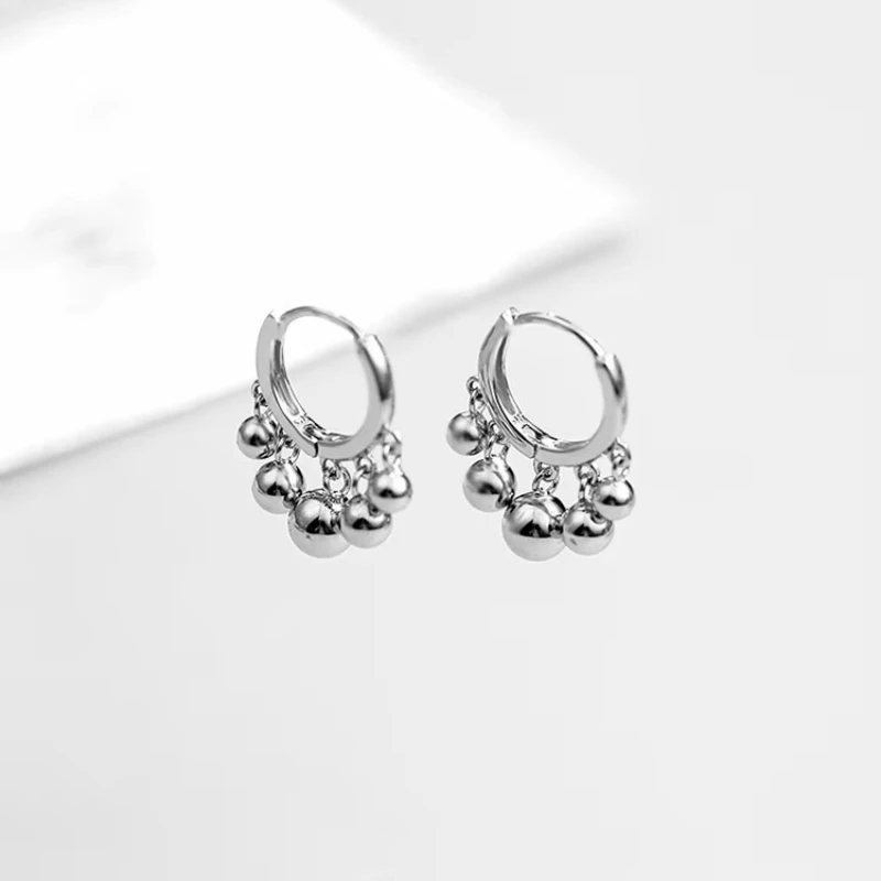 REETI 925 Sterling Silver ball Hoop Earrings for Women Animal Silver Jewelry Gifts Trendy