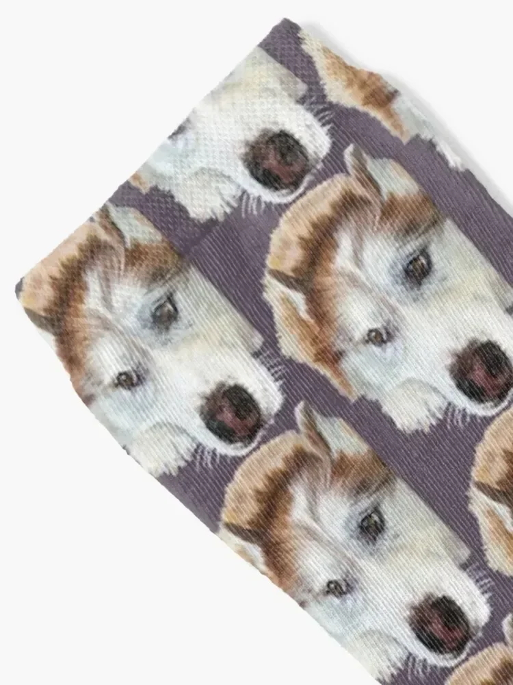 Red Siberian Husky - Digital no background Socks kawaii with print ankle Antiskid soccer Socks Men Women's