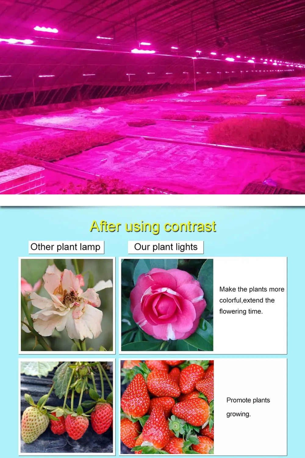 HangYue Adjustable 65 W Full Spectrum LED Growth Lamp For Greenhouse Plant Growth illumination At Different Stages 110-240 V