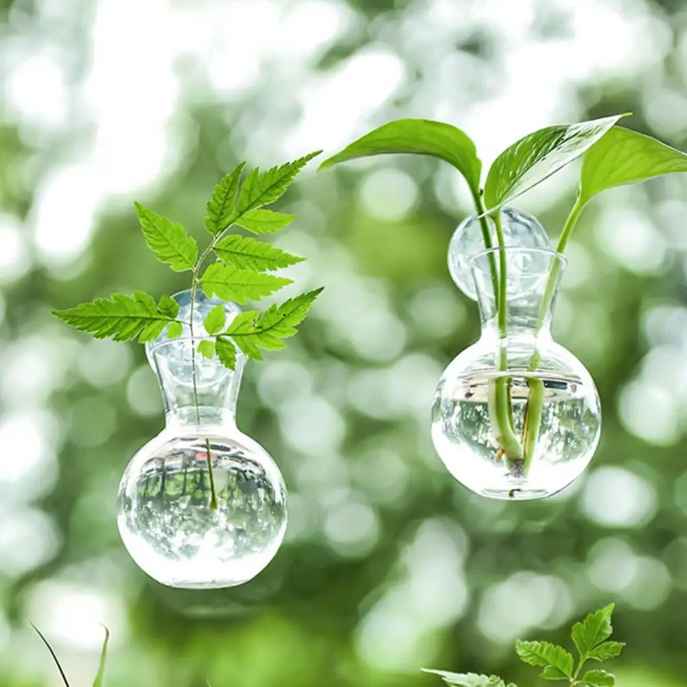 1/2/3/4/6/8Pcs Window Propagation Station Plant Propagation Glass Bulb with Suction Cup Transparent Planter Propagation Planter