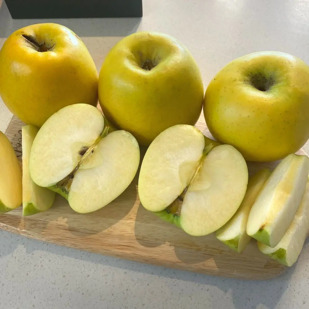 새콤달콤 시나노골드 스위트 사과 쥬스용 6kg