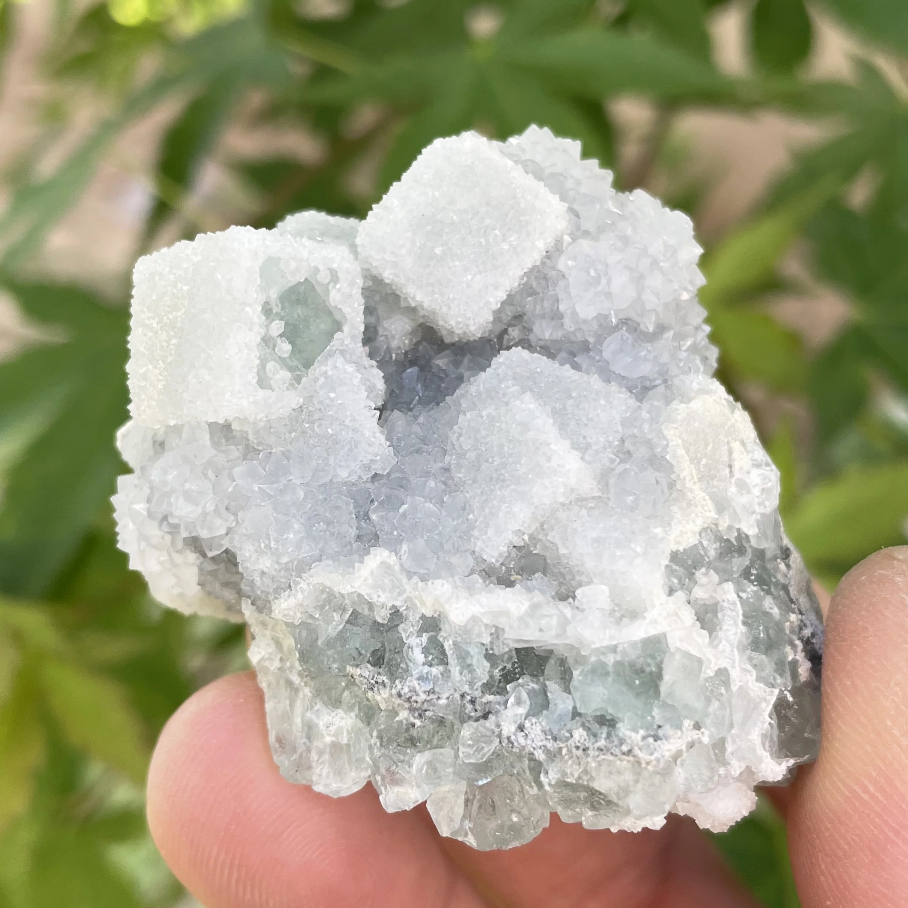 Natural Chinese Fujian Green Shiny Sugar Fluorite Specimen Ore Crystal Quartz Druse Paragenesis Healing Stone Home Decor SE1-7