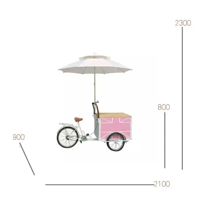 R*-Stainless Steel 3-Wheel Refrigerated Mobile Ice Cream Cart for Commercial Outdoor