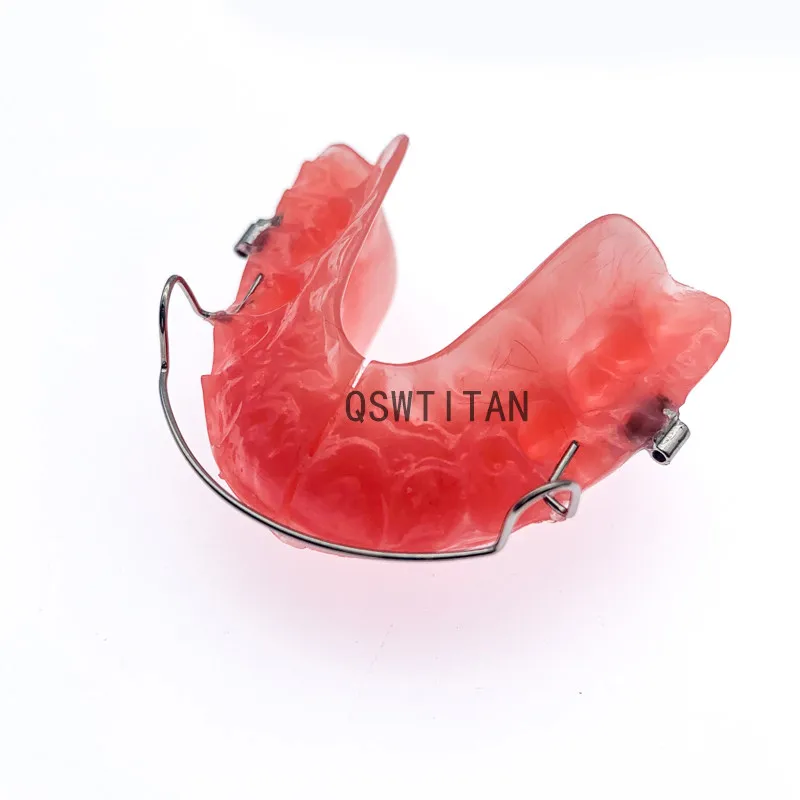 Dental Functional Orthopedic Bionator Removable/Hawley Retainer Model Teeth Model Dental Teach Study