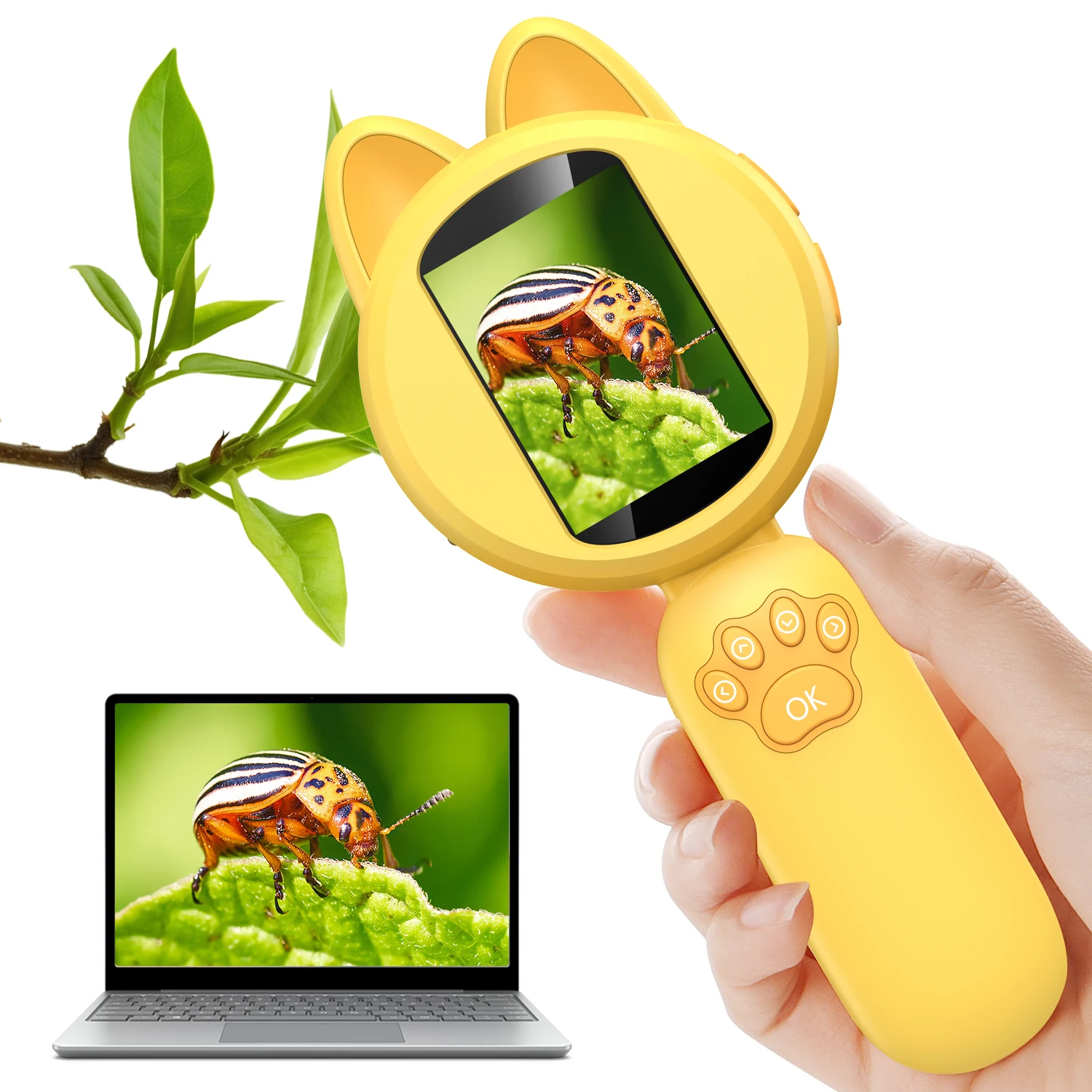 Microscope d'exploration en plein air pour enfants, microscope numérique portable avec écran IPS de 2 pouces, jouet STEM pour les voyages et le camping d'été, âge 5-12 ans