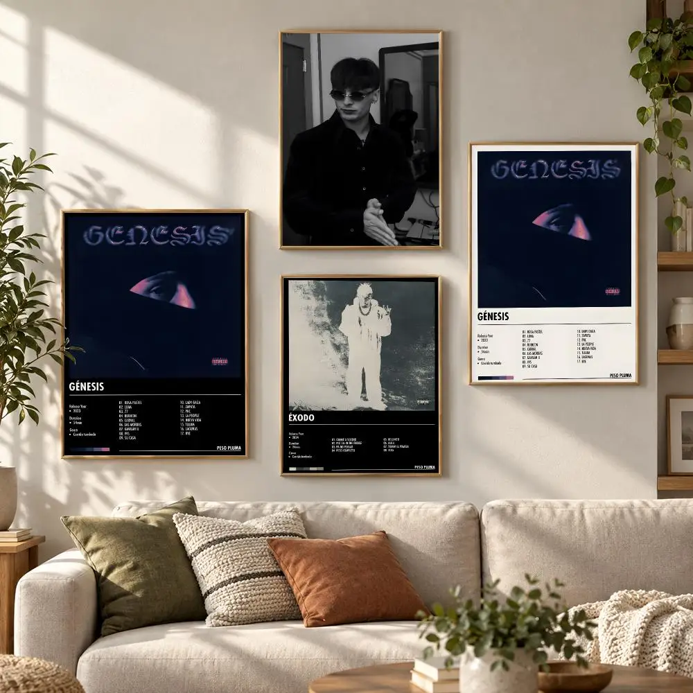 Singer P-peso Pluma Poster HD Waterproof Aesthetic Wall For Home Decor Trendy Durable Easy To Apply Art