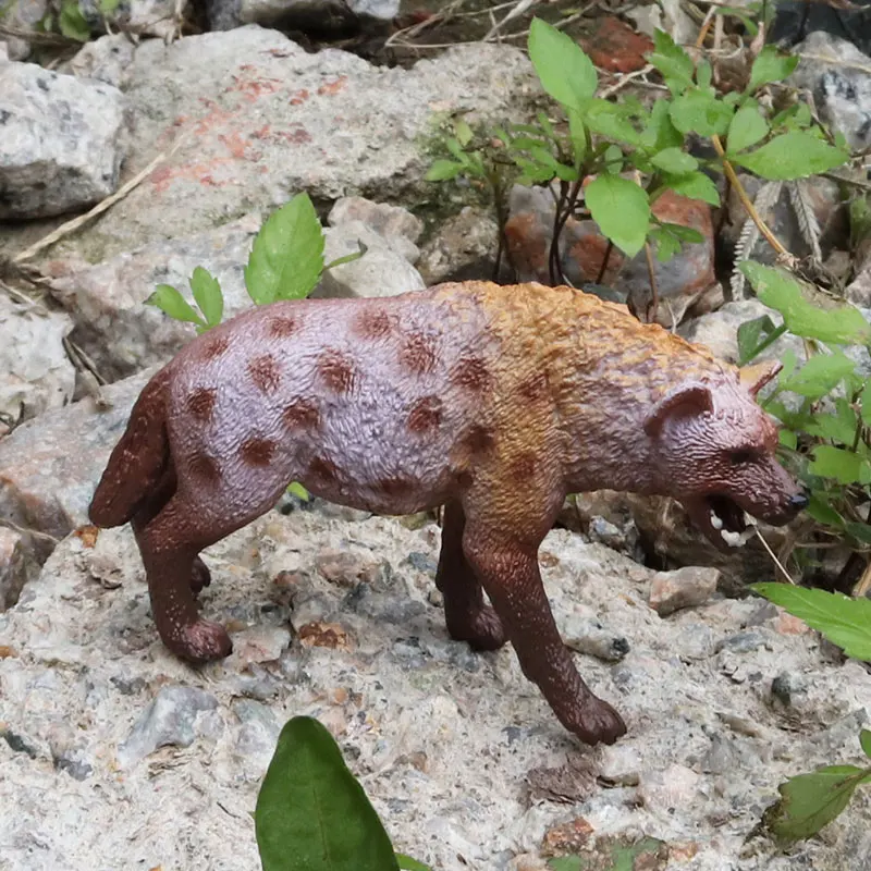 Oenux Klassische Wilde Afrikanische Tiere Simulation Tiger Hyaenidae Action Figur Figuren PVC Modell Bildung Schule Kind Spielzeug – Detail 15