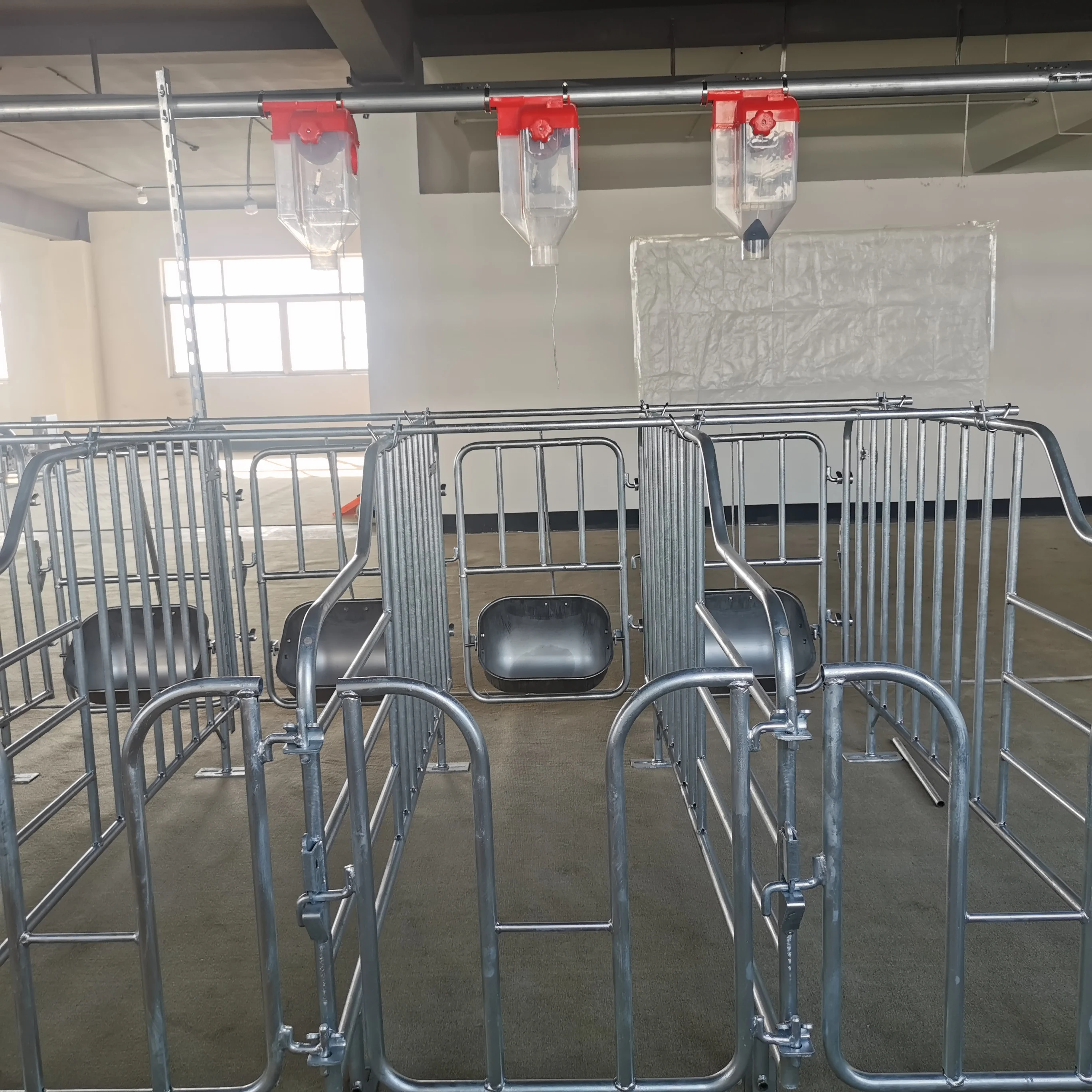 Customized Pig Breeding Equipment Piggery Sow Gestation Cage pig pen sow stall