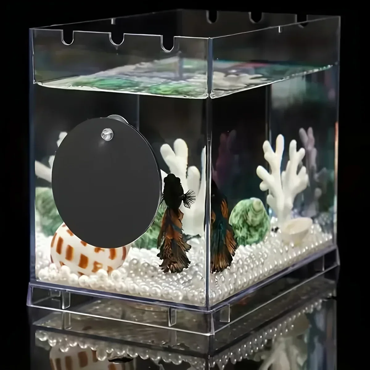 Schwimmender Betta-Trainingsspiegel Durchm. Schwimmender runder Spiegel für Aquarien, antidepressivum, Betta-Trainingsspiegel
