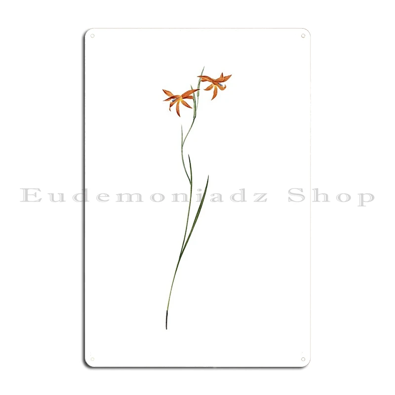 Gladiolus Watsonius Flower Metal Sign Home Garage Plaques Garage Design Cinema Tin Sign Poster