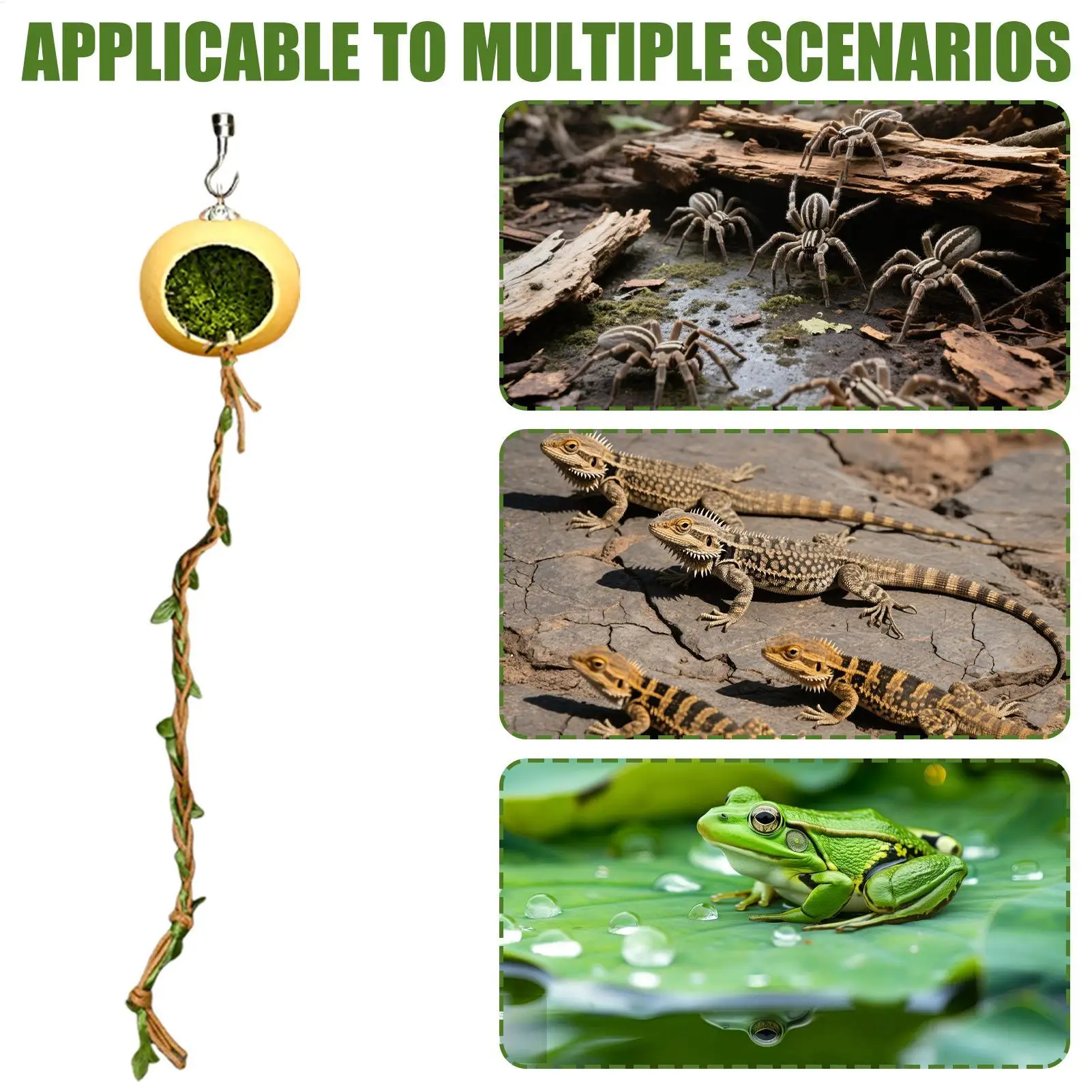 القفز العنكبوت إخفاء المغناطيسي القفز العنكبوت الموئل مخبأ اكسسوارات المنزل ل Arthropods حريش Geckos كريستيد أبو بريص