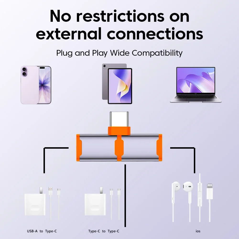 PD100W Type C To Ty…