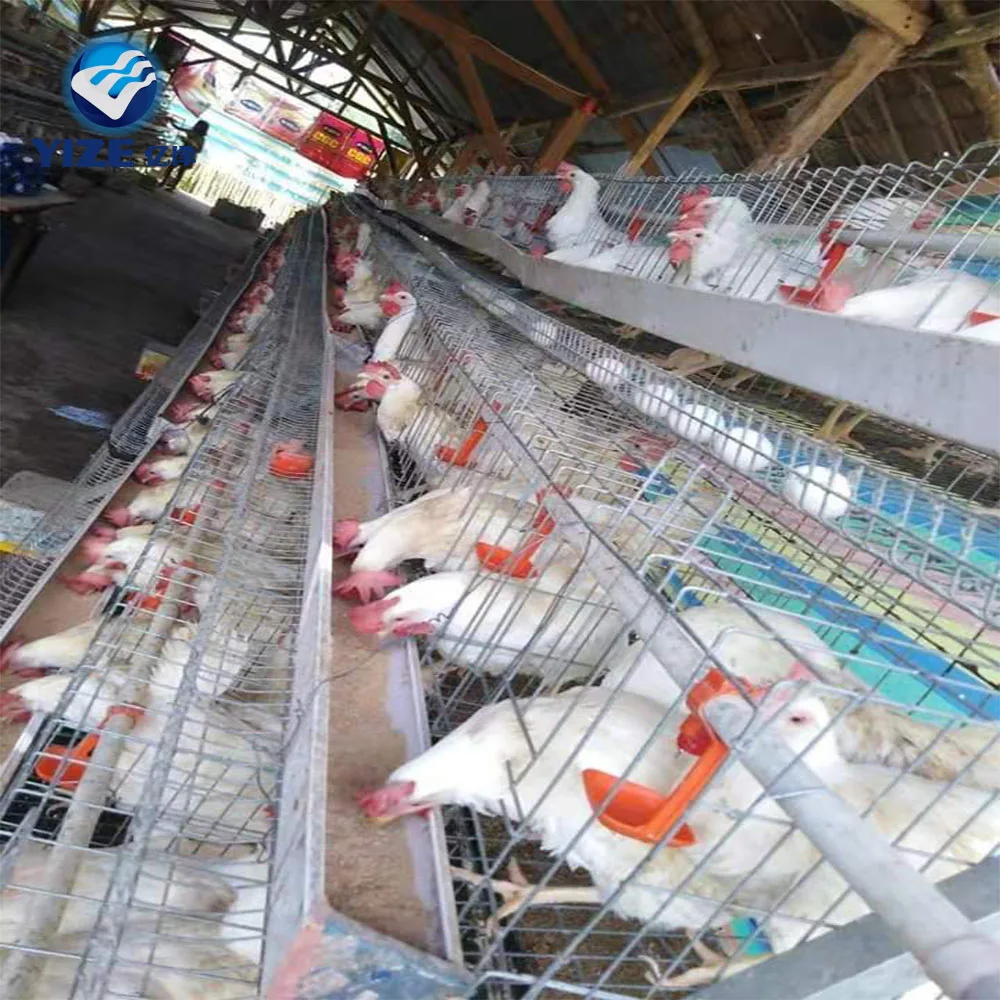 Cheap Price Chicken Cage in Pakistan Building a Type Chicken Coop Hen Cage Design Layer Poultry House Farm