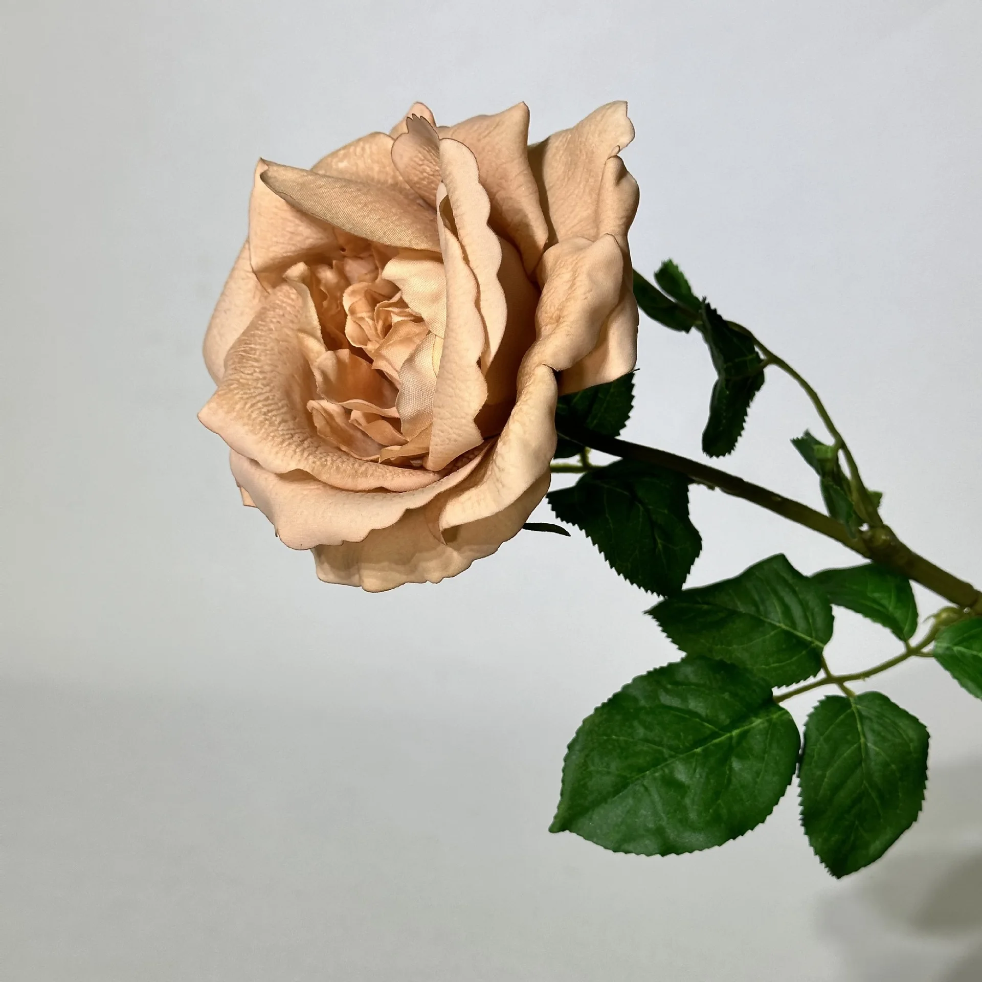 5 Stück Künstliche Feuchtigkeitsspendende Rosen mit Echtem Touch, Hochzeitsdekoration, Rosen-Brautstrauß, Party- und Eventdekoration, Heimdekoration, Kunstblumen – Detail 22