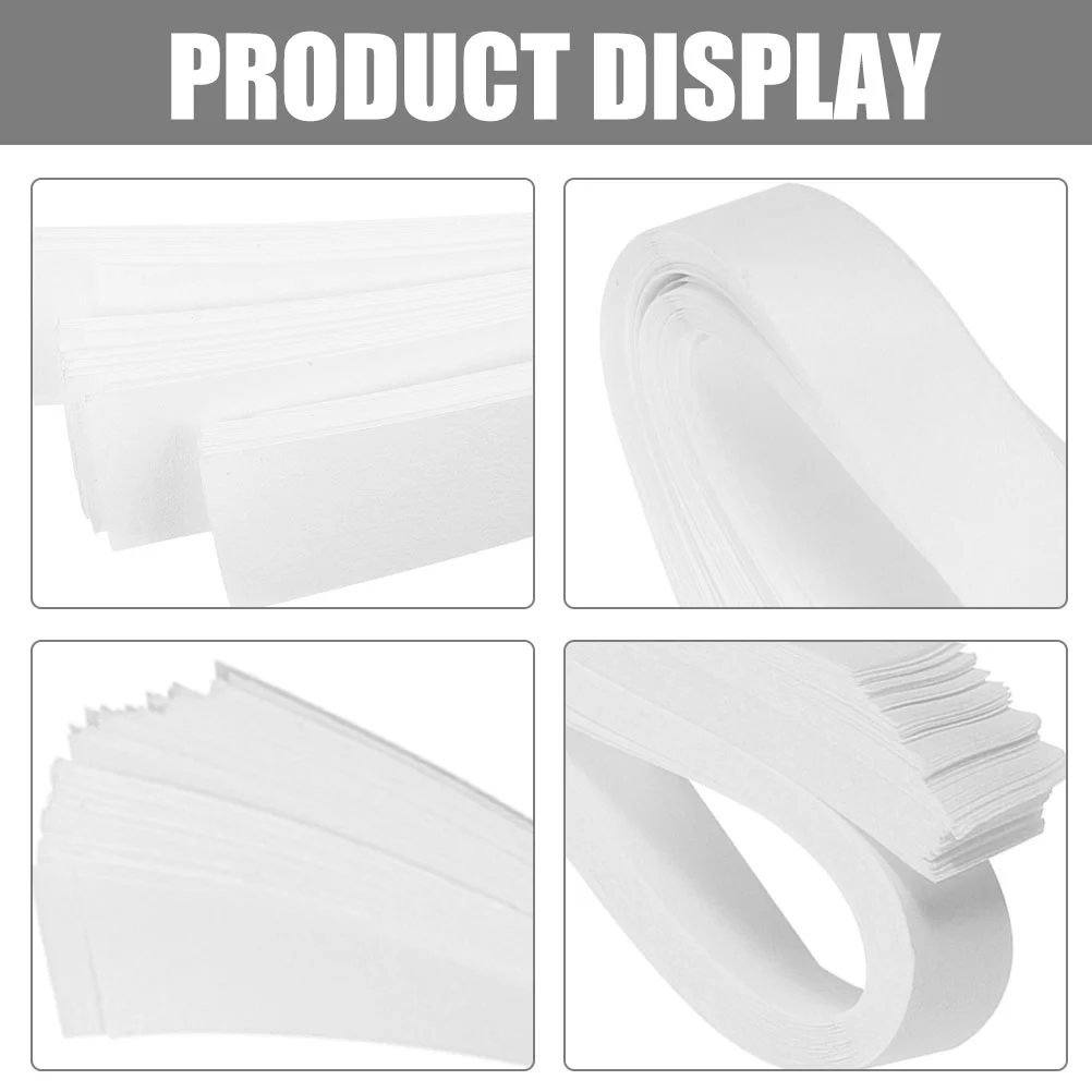 80 Pcs Coin Banknote Paper Currency Bands Straps Acetate Money Organizer for Cash