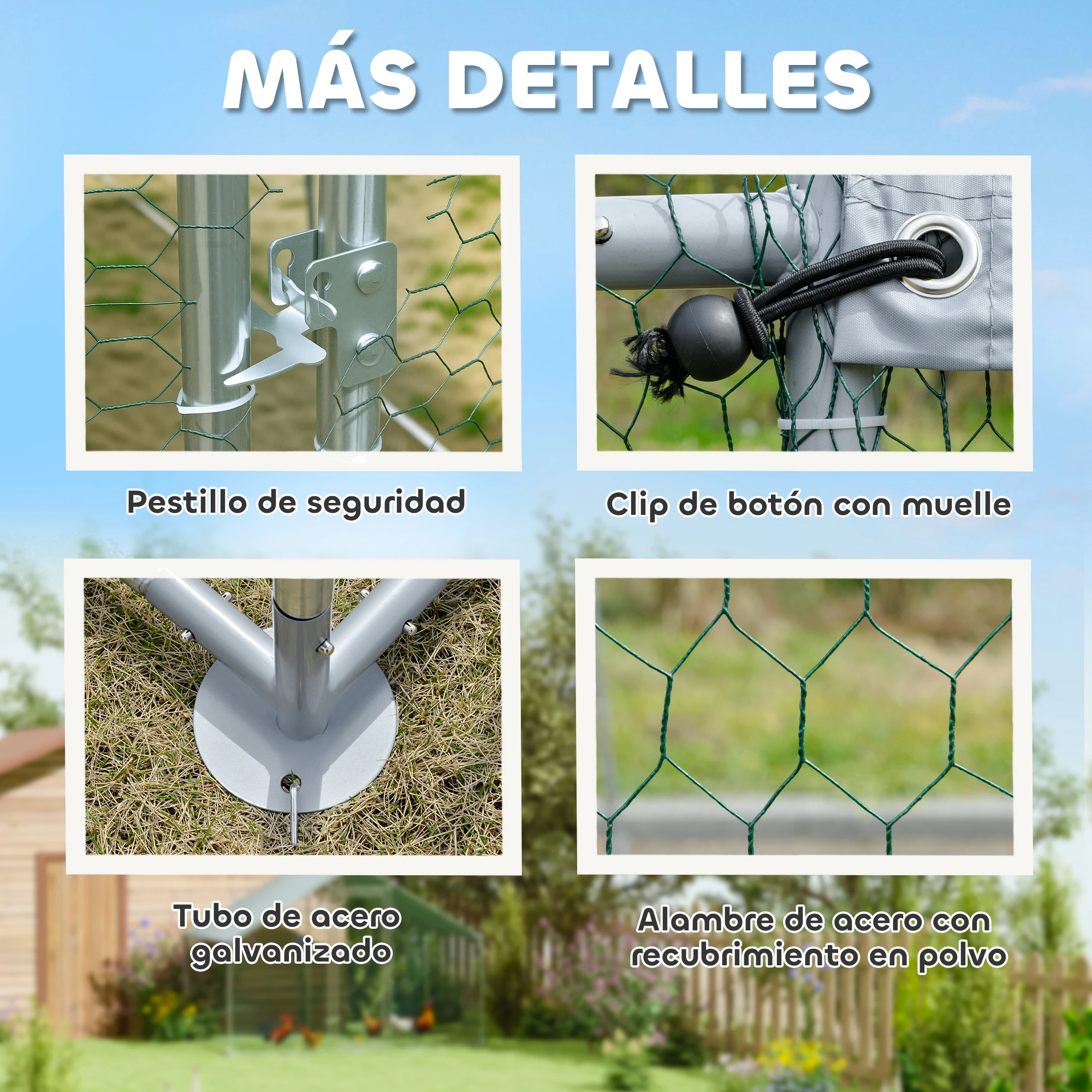 Imagen 6