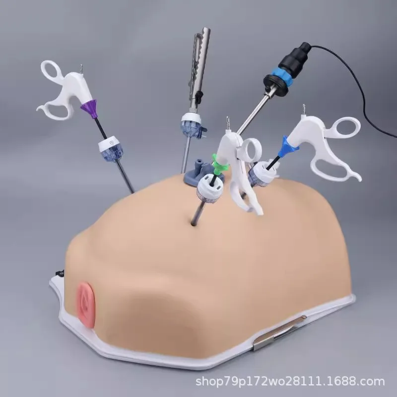 Laparoscopic Highly Bionic Single-hole Training Box With Its Own Light Source, Simulating Surgical Training Equipment Factory