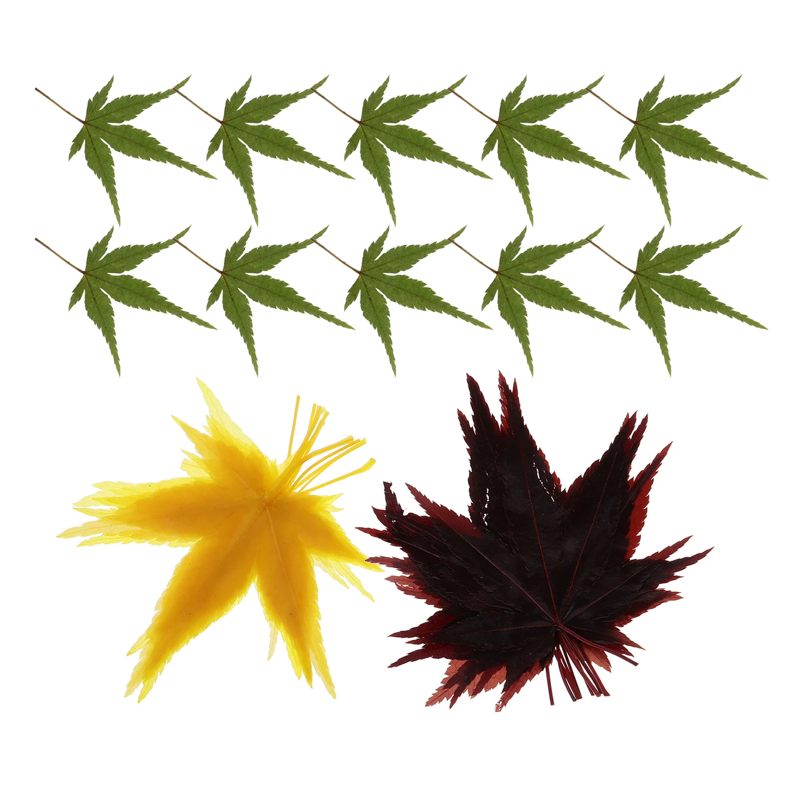 

30pcs Maple Leaf Decor Natural Sushi Tray Leaf Decors For Sashimi Plate Japanese Food Decoration Dessert Baking Prop Food