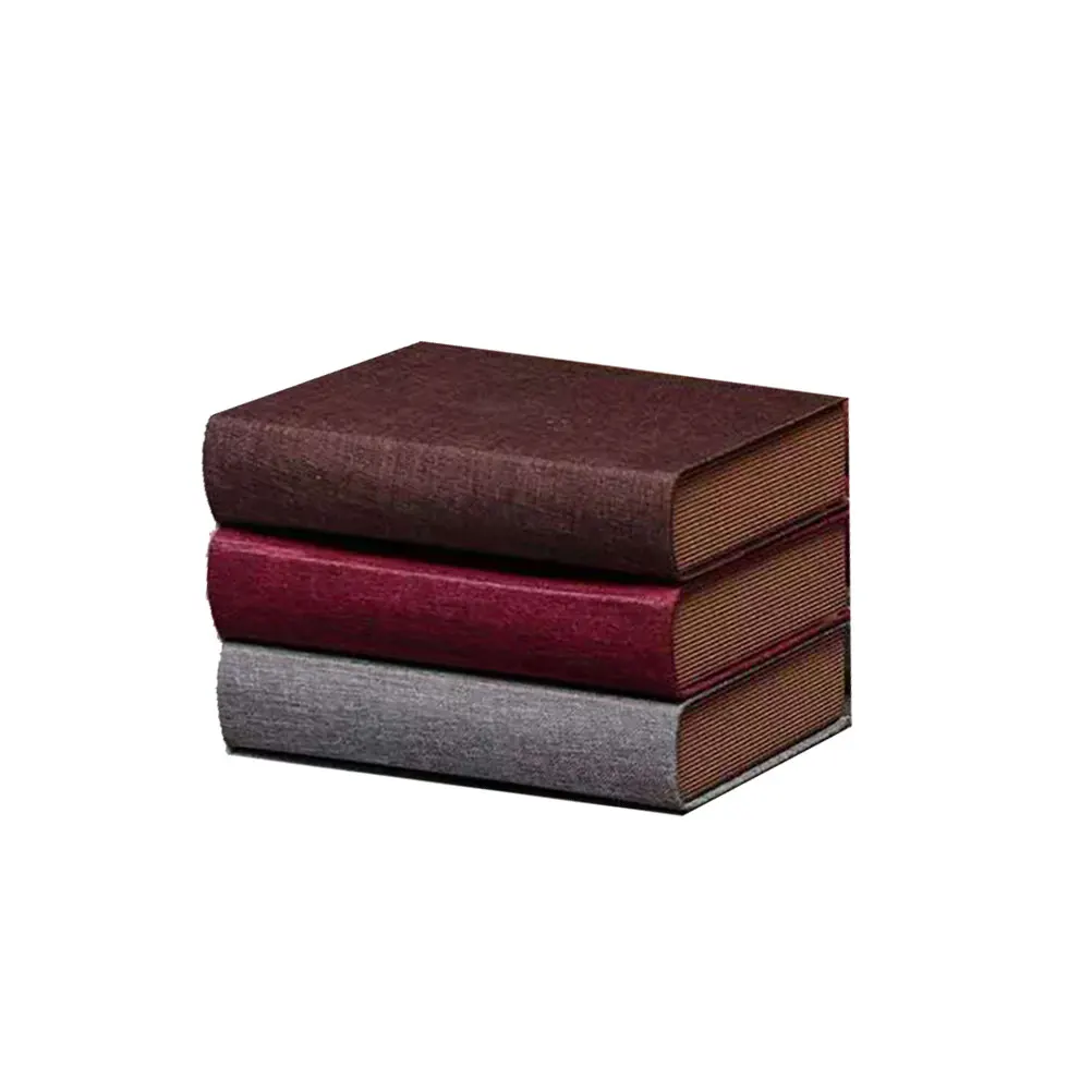 Рисунок 3 - имитация книжного реквизита