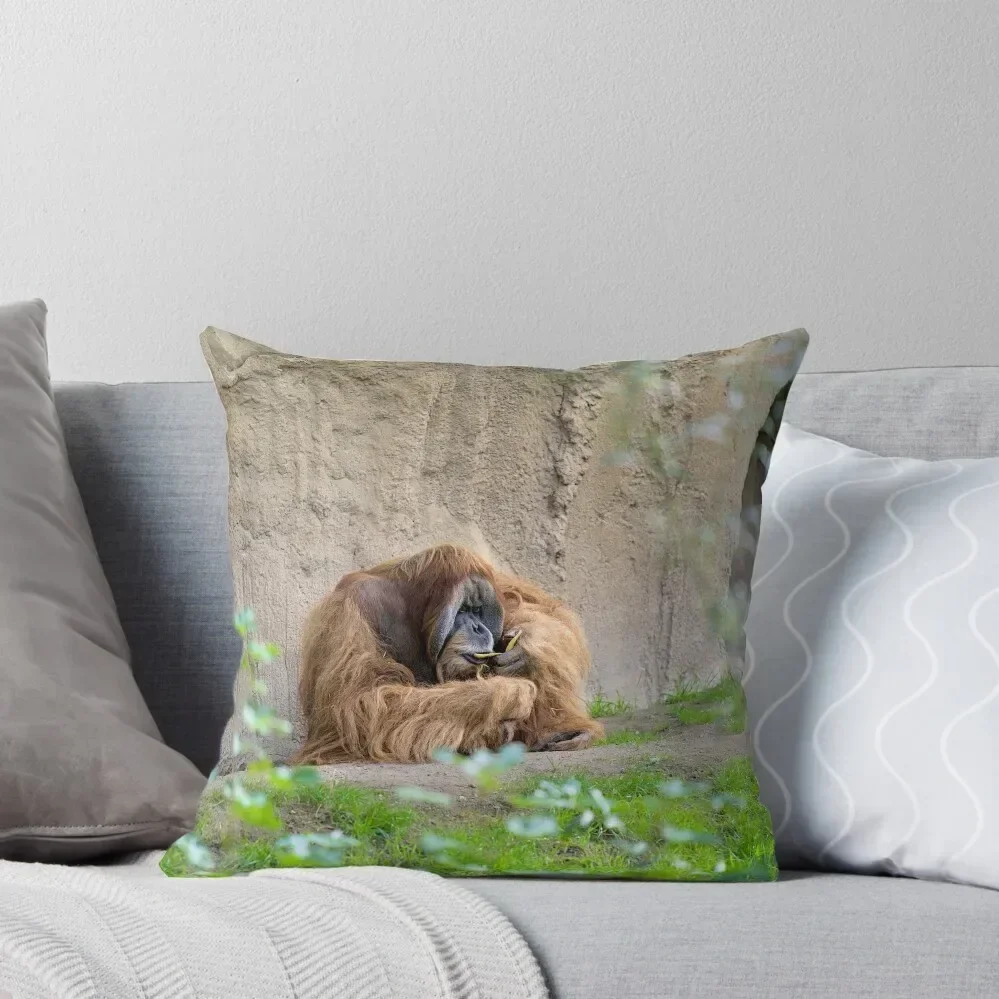 Orangutan enjoys his banana Throw Pillow Cushions For Children Pillowcases For Pillows pillow