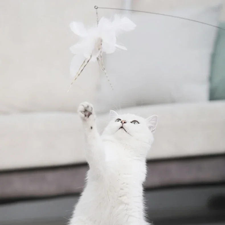 Interactief kattenspeelgoed Handenvrij Kat Stok Spelen Kitten Spelen Teaser Wand Speelgoed Zuignap Vogel/Veer Kat Wand Dierbenodigdheden